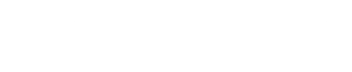 Ledgerowl Logo White